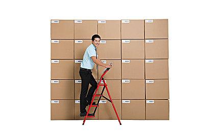 百合题材《森灵之心》PS5＆PS4版2月14日推出